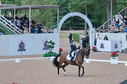 Filename=PT2_2118.JPG
Filesize=267KiB
Dimensions=800x531
Date added=Jul 12, 2025 PT2_2118.JPG