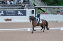 Filename=PT2_2120.JPG
Filesize=249KiB
Dimensions=800x531
Date added=Jul 12, 2025 PT2_2120.JPG