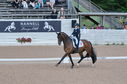Filename=PT2_2121.JPG
Filesize=253KiB
Dimensions=800x531
Date added=Jul 12, 2025 PT2_2121.JPG