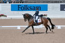 Filename=PT2_2137.JPG
Filesize=228KiB
Dimensions=800x531
Date added=Jul 12, 2025 PT2_2137.JPG