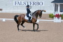 Filename=PT2_2143.JPG
Filesize=248KiB
Dimensions=800x531
Date added=Jul 12, 2025 PT2_2143.JPG
