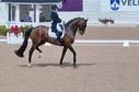 Filename=PT2_2145.JPG
Filesize=245KiB
Dimensions=800x531
Date added=Jul 12, 2025 PT2_2145.JPG
