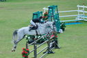 Filename=PT2_2161.JPG
Filesize=250KiB
Dimensions=800x531
Date added=Jul 12, 2025 PT2_2161.JPG