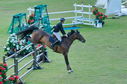 Filename=PT2_2187.JPG
Filesize=209KiB
Dimensions=800x531
Date added=Jul 12, 2025 PT2_2187.JPG