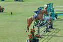 Filename=PT2_2199.JPG
Filesize=271KiB
Dimensions=800x531
Date added=Jul 12, 2025 PT2_2199.JPG