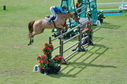 Filename=PT2_2225.JPG
Filesize=284KiB
Dimensions=800x531
Date added=Jul 12, 2025 PT2_2225.JPG