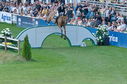 Filename=PT2_2239.JPG
Filesize=266KiB
Dimensions=800x531
Date added=Jul 12, 2025 PT2_2239.JPG