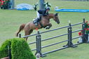 Filename=PT2_2243.JPG
Filesize=215KiB
Dimensions=800x531
Date added=Jul 12, 2025 PT2_2243.JPG