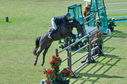 Filename=PT2_2257.JPG
Filesize=295KiB
Dimensions=800x531
Date added=Jul 12, 2025 PT2_2257.JPG