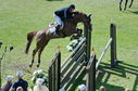 Filename=PT2_2260.JPG
Filesize=289KiB
Dimensions=800x531
Date added=Jul 12, 2025 PT2_2260.JPG