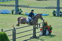Filename=PT2_2267.JPG
Filesize=282KiB
Dimensions=800x531
Date added=Jul 12, 2025 PT2_2267.JPG