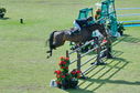 Filename=PT2_2335.JPG
Filesize=229KiB
Dimensions=800x531
Date added=Jul 12, 2025 PT2_2335.JPG