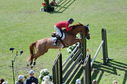 Filename=PT2_2338.JPG
Filesize=278KiB
Dimensions=800x531
Date added=Jul 12, 2025 PT2_2338.JPG