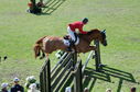 Filename=PT2_2339.JPG
Filesize=291KiB
Dimensions=800x531
Date added=Jul 12, 2025 PT2_2339.JPG