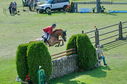 Filename=PT2_2342.JPG
Filesize=285KiB
Dimensions=800x531
Date added=Jul 12, 2025 PT2_2342.JPG