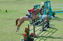 Filename=PT2_2346.JPG
Filesize=285KiB
Dimensions=800x531
Date added=Jul 12, 2025 PT2_2346.JPG