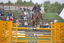 Filename=PT9_2238.JPG
Filesize=197KiB
Dimensions=800x534
Date added=Jul 14, 2025 PT9_2238.JPG