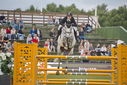 Filename=PT9_2256.JPG
Filesize=196KiB
Dimensions=800x534
Date added=Jul 14, 2025 PT9_2256.JPG