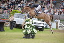 Filename=PT9_2362.JPG
Filesize=212KiB
Dimensions=800x534
Date added=Jul 14, 2025 PT9_2362.JPG