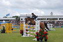 Filename=PT9_2377.JPG
Filesize=200KiB
Dimensions=800x534
Date added=Jul 14, 2025 PT9_2377.JPG