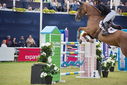 Filename=PT9_2386.JPG
Filesize=208KiB
Dimensions=800x534
Date added=Jul 14, 2025 PT9_2386.JPG