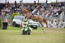 Filename=PT9_2389.JPG
Filesize=227KiB
Dimensions=800x534
Date added=Jul 14, 2025 PT9_2389.JPG