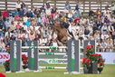 Filename=PT9_2395.JPG
Filesize=244KiB
Dimensions=800x534
Date added=Jul 14, 2025 PT9_2395.JPG