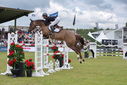 Filename=PT9_2419.JPG
Filesize=229KiB
Dimensions=800x534
Date added=Jul 14, 2025 PT9_2419.JPG