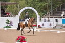 Filename=PT9_2444.JPG
Filesize=225KiB
Dimensions=800x534
Date added=Jul 15, 2025 PT9_2444.JPG