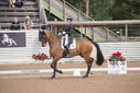 Filename=PT9_2458.JPG
Filesize=227KiB
Dimensions=800x534
Date added=Jul 15, 2025 PT9_2458.JPG