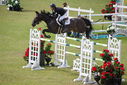 Filename=PT9_2526.JPG
Filesize=226KiB
Dimensions=800x534
Date added=Jul 14, 2025 PT9_2526.JPG
