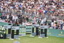 Filename=PT9_2529.JPG
Filesize=263KiB
Dimensions=800x534
Date added=Jul 14, 2025 PT9_2529.JPG