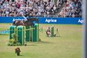 Filename=PT9_2550.JPG
Filesize=235KiB
Dimensions=800x534
Date added=Jul 14, 2025 PT9_2550.JPG