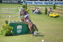Filename=PT9_2571.JPG
Filesize=247KiB
Dimensions=800x534
Date added=Jul 14, 2025 PT9_2571.JPG