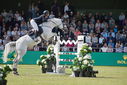 Filename=PT9_2590.JPG
Filesize=215KiB
Dimensions=800x534
Date added=Jul 14, 2025 PT9_2590.JPG