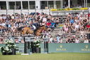 Filename=PT9_2607.JPG
Filesize=267KiB
Dimensions=800x534
Date added=Jul 14, 2025 PT9_2607.JPG