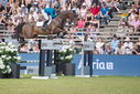 Filename=PT9_2619.JPG
Filesize=203KiB
Dimensions=800x534
Date added=Jul 14, 2025 PT9_2619.JPG