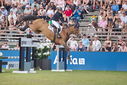 Filename=PT9_2635.JPG
Filesize=217KiB
Dimensions=800x534
Date added=Jul 14, 2025 PT9_2635.JPG