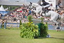 Filename=PT9_2649.JPG
Filesize=257KiB
Dimensions=800x534
Date added=Jul 14, 2025 PT9_2649.JPG