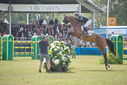 Filename=PT9_2652.JPG
Filesize=193KiB
Dimensions=800x534
Date added=Jul 14, 2025 PT9_2652.JPG