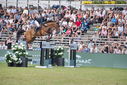 Filename=PT9_2674.JPG
Filesize=249KiB
Dimensions=800x534
Date added=Jul 14, 2025 PT9_2674.JPG