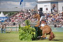 Filename=PT9_2721.JPG
Filesize=258KiB
Dimensions=800x534
Date added=Jul 14, 2025 PT9_2721.JPG