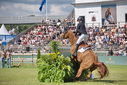 Filename=PT9_2722.JPG
Filesize=258KiB
Dimensions=800x534
Date added=Jul 14, 2025 PT9_2722.JPG