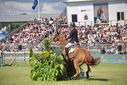 Filename=PT9_2724.JPG
Filesize=260KiB
Dimensions=800x534
Date added=Jul 14, 2025 PT9_2724.JPG