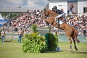 Filename=PT9_2725.JPG
Filesize=256KiB
Dimensions=800x534
Date added=Jul 14, 2025 PT9_2725.JPG