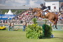 Filename=PT9_2726.JPG
Filesize=244KiB
Dimensions=800x534
Date added=Jul 14, 2025 PT9_2726.JPG