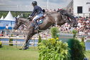 Filename=PT9_2742.JPG
Filesize=240KiB
Dimensions=800x534
Date added=Jul 14, 2025 PT9_2742.JPG