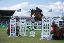 Filename=PT9_2931.JPG
Filesize=217KiB
Dimensions=800x534
Date added=Jul 14, 2025 PT9_2931.JPG