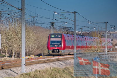 PT9_9233.JPG