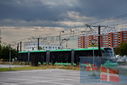 Filename=PT9_3300.jpg
Filesize=318KiB
Dimensions=1224x817
Date added=Sep 13, 2025 PT9_3300.jpg